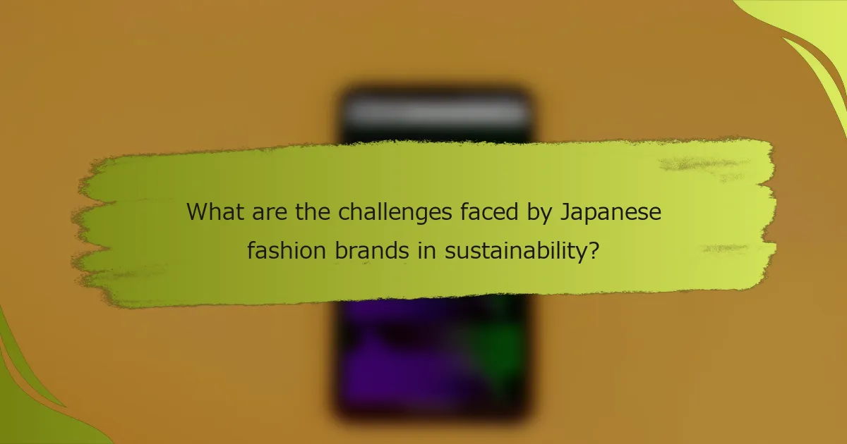 What are the challenges faced by Japanese fashion brands in sustainability?